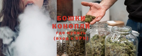 спиды Дмитриев