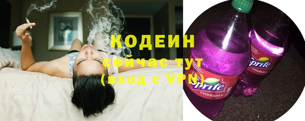 спиды Дмитриев